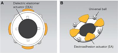Iterative Learning Control for Motion Trajectory Tracking of a Circular Soft Crawling Robot